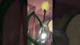 Teachers day Gifts #diyflowerbouquet #diy #fuzzywires #diyflower #fyp