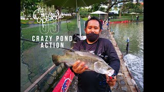 Catching HUGE fishes at Fishing Ponds (Orto Fishing Pond & Pasir Ris Pro Pond)