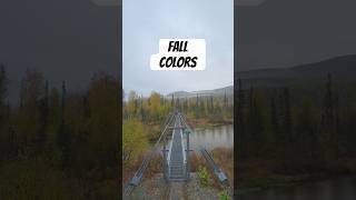 Fall colors Alaska #Subscribe #Alaska #Nature #Outdoors #Shorts #Mountains #Camping #Fishing