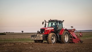 Szybki siew pszenicy z Massey Ferguson i Horsch Express ||  Gr Suszek