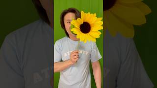 夏も近いしひまわり(造花)で風船を割ろう【Let's pop balloons with sunflowers (artificial flowers)】#shorts