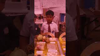 Healthy💪 food🍲/ Junk food🍦🍰🍟🍗# Interesting🤔 explain by small smart kids#science exhibition#viral 🔥🔥🔥