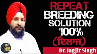 Repeat breeding solution | रपीट ब्रीडिंग का पक्का इलाज | ਰਪੀਟ ਬ੍ਰਿਡਿੰਗ ਦਾ ਪੱਕਾ ਇਲਾਜ |