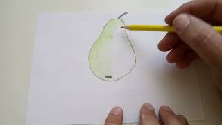 Easy drawings of a pear using two circles. How to draw a pear