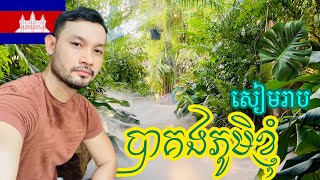 Ep.4: ព្រៃត្រូពិចនៅបាគងភូមិខ្ញុំ សៀមរាបកម្ពុជា - Tropical in Siem Reap | Bakong My Village, Cambodia