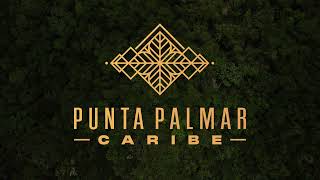 Conoce Punta Palmar Caribe 🌴| Tu #inversión ideal en el #Caribe mexicano 🤩