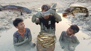 Tangkap ikan Gabus Jumbo, Lele, Patin, Nila, Koi, Di Dalam Lumpur