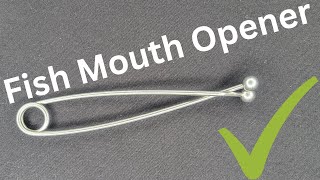 Fish Mouth Opener, Mouth Spreader, Hook Remover, Jaw Retractor Spring, Lure Remover [4K]