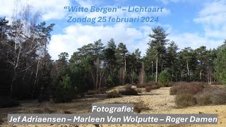 2024 02 25 WITTE BERGEN   LICHTAART