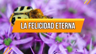 La felicidad eterna | 15 De Julio| La Buena Semilla 2024 | Meditaciones Cotidianas