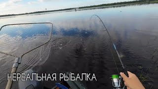 Нереальная рыбалка или что могло пойти не так #рыбалка #щука #спининг #fishing #pike #pikefishing