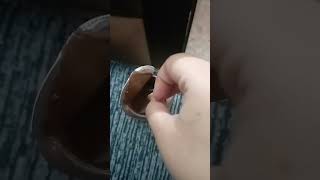 Sundrop cocoa nut chocolate spread review 🤢 tasty 🤤🤤