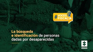 La búsqueda e identificación de personas dadas por desaparecidas