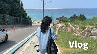 Vlog 내가 회사를 나온 이유