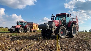 ★ ★ ★ Kukurydza 2022 ★ ★ ★ [Claas Jaguar 850, McCormick MTX110, Case CS130, Zetor 8540]