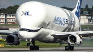 Airbus beluga is super hungry