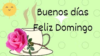 Buenos días Feliz Domingo mensaje corto