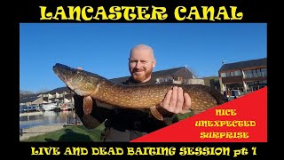 A live and dead baiting session for pike in a private marina on the lancaster canal...