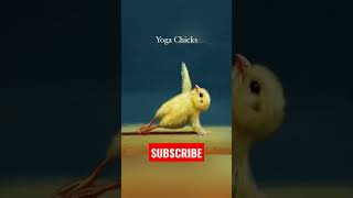 Yoga chicks 😂😂 #shorts #short #shortsvideo #shortvideo #status