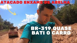 BR-319 QUASE BATI O CELTA(atacado por enxame de abelha)EP16