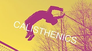 WELCOME TO THIS CALISTHENICS CHANNEL | CalisthenicsDude