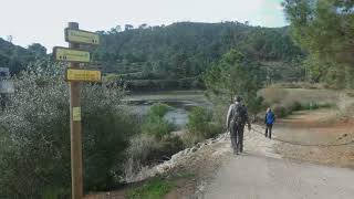 BENAHAVÍS   RÍO GUADAIZA   02 2022