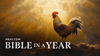 210. True Prophecy - The Gospels | Bible in a Year