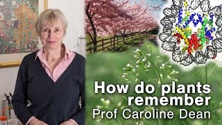 How do plants remember - Professor Caroline Dean