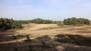 Traveller: The Netherlands, Veluwe