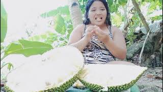 Yummy , juicy and sweet Jackfruit | mukbang