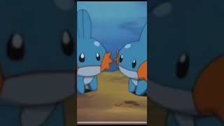 Mudkip