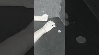 Coin Magic Transposition - Panda's purse shorts  #magichands #cointricks