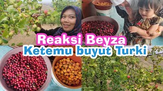 PANEN APEL DI RUMAH KAMPUNG NENEK TURKI, MAKAN BUAH SEPUASNYA!