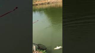 #fishing g