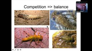 651105  Biodiversity and Equilibrium PART6