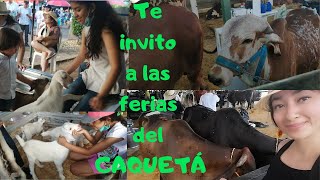 🐂VAMOS a VER estos hermosos ANIMALES | Ferias del Caquetá 🐄🐐