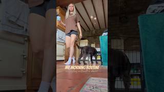 My morning routine 🐶🤎 #dog #youtubeshorts #doglover #shortvideo