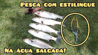 Pesca com estilingue no braço do mar!!!#guiadomato #pescacomestilingue