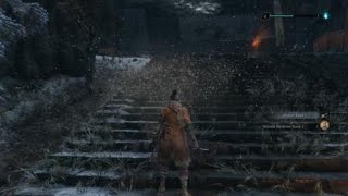 Sekiro - Ogre's Die Period (First Try)