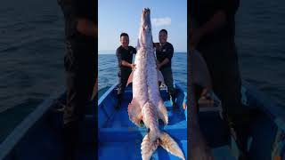 Giant Sea Monsters Caught by Fishermen! 🎣#GiantSeaCreatures #FishingDiscoveries #OceanMysteries