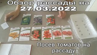 Обзор рассады на 27 марта 2022г. Основной посев томатов на рассаду.