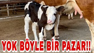 GARİBANIN DOSTU HAVRAN HAYVAN PAZARI...