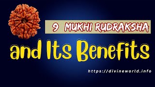 9 Mukhi Rudraksha and Its Benefits