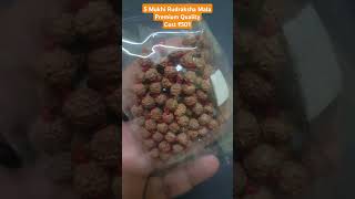 5 Mukhi Rudraksha Mala Premium #5mukhi #5mukhirudraksha #rudraksha