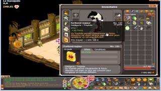 Dofus - Présentation de mon iop terre 180 Shenh-Rodh