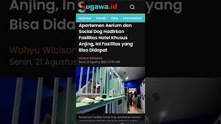 Apartemen Aeriun memang dihadirkan dengan konsep ramah terhadap hewan peliharaan