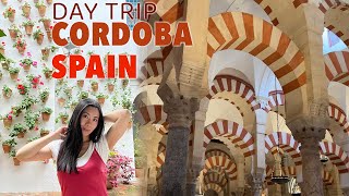 BEST OF CORDOBA SPAIN - EASY DAY TRIP FROM SEVILLE | MOSQUE, PALACIO DE VIANA VLOG