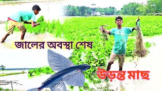 উড়ন্ত মাছ জাল পারি গেছে||😀😀 ধানগড়া ||vlog video ♥️