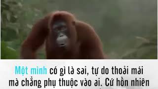 YÊU ĐƯƠNG GÌ TẦM NÀY...F.A PHẢI SƯỚNG HƠN KHÔNG..