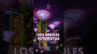 Conoces los ÁRBOLES FUTURISTAS de Gardens by the Bay de SINGAPUR?🪐 #singapore #futuristic